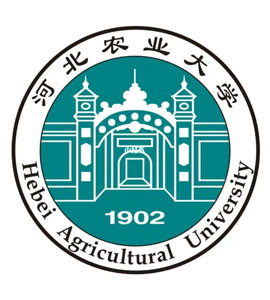 沈阳河北农业大学